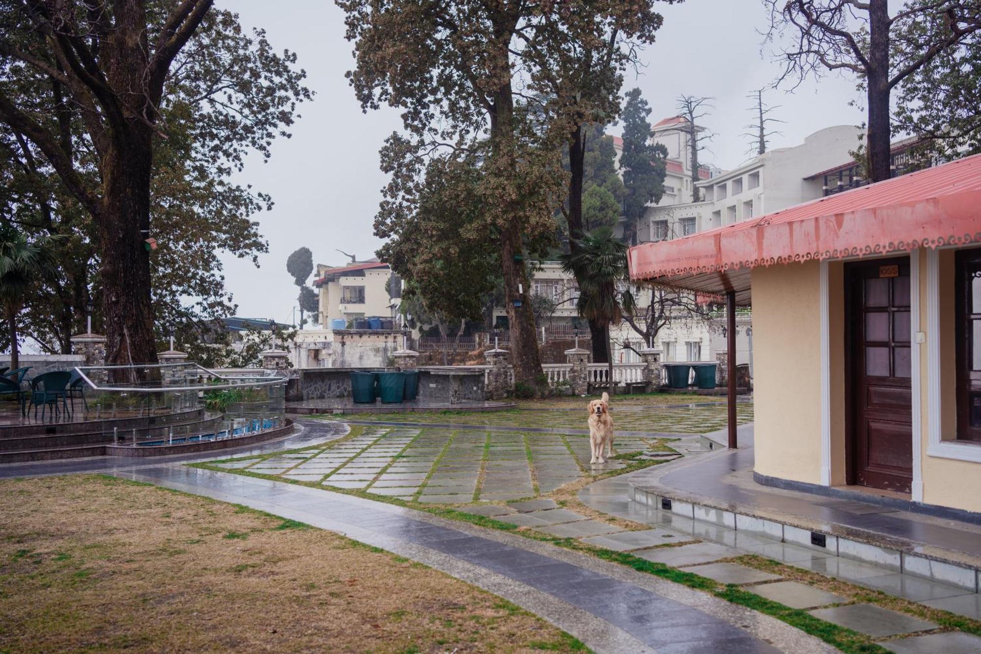 Hotel Bliss & Company By Hnh Mussoorie Exteriér fotografie